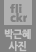 박근혜사진